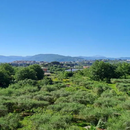 Tenuta Albachiara Naso