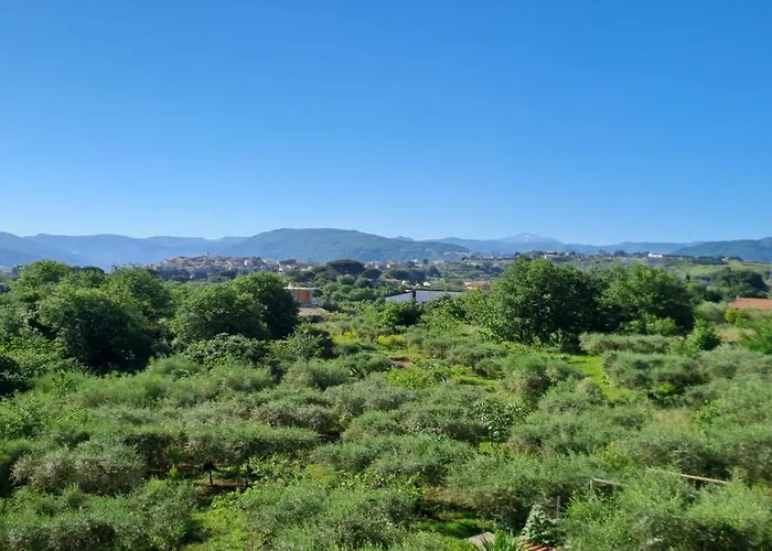Tenuta Albachiara Naso